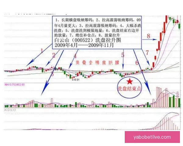 世界杯跟单实战技巧与稳定盈利策略全面解析助赢率持续提升指南